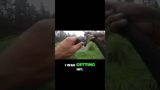 The Beast Stole the Bait! See the Epic Marsh Encounter That Left Them Speechless.