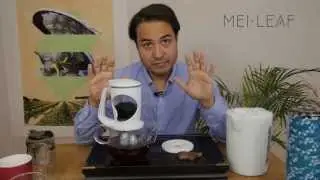 The Leaf & Bean Brewer