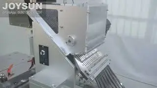 Seamless Softgel Capsule Packing Machine
