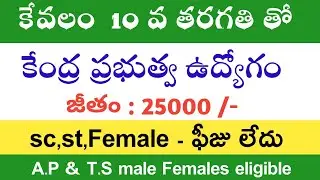 10th class government jobs notification 2019 || Govtjobs2019 || #freejobslerts
