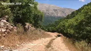 Τσέλετσης►Σταυροσκιάδι►Πωγωνιανή 7/7/2019 (ταχύτητα αναπαραγωγής Χ2)
