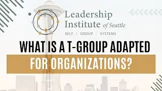 What is a T-group adapted for organizations?