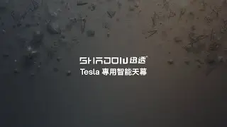 Tesla 專用天幕，創造更舒適、安全的駕駛與乘坐環境。