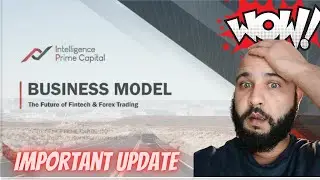 Updated Review | Intelligence Prime Capital