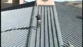 roofdrop