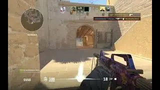 M4A1-S | Black Lotus Gameplay - Ace