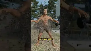 How Many Mosquitoes Does It Take to Drain Your Blood?
