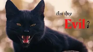 Why Are Black Cats Considered Evil? | Origins of a Superstition