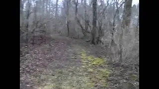 How to clear underbrush.