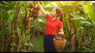 Harvesting red bananas with the cutest girl in red shirt | Hana Farm Bushcraft