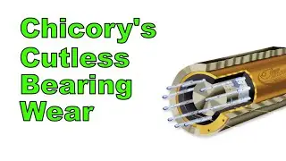 Chicory's Cutless Bearing Wear
