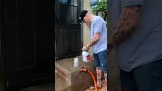 How to Clean Dog Kennels #shorts
