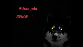 Unes-FKOF ! (mixed track)