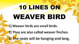 10 Lines on Weaver Bird in English | Few Lines on Weaver Bird