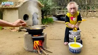 Monkey Annie obedient helps dad harvest corn to make soup for breakfast