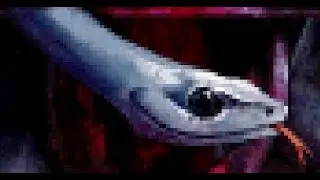 Castlevania - Portrait of Ruin Randomized (Level 1 Cap) [Part 5] Perilous Exploration
