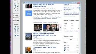 Auto scroll to capture long web pages - ScreenHunter 7
