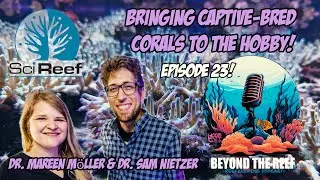 Episode 23: Dr. Samuel Nietzer and Dr. Mareen M&ouml;ller - SciReef