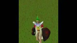 99 Defence Skill Cape Emote