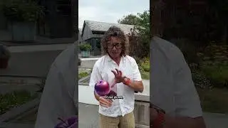 MUCHO M&Aacute;S, Yes or No