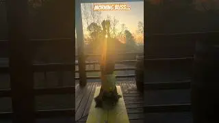Morning bliss&hellip;#yoga #yogalife #yogapractice#yogateacher#sunrise #morning#outdooryoga#yogainspiration
