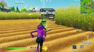 Where to find the Codename E.L.F Toon Fish style in Fortnite!
