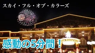 40周年花火スカイ・フル・オブ・カラーズ／東京ディズニーランド