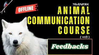 FEEDBACKS | TELEPATHIC ANIMAL COMMUNICATION COURSE | Kunal Relekar |  @thheemprress