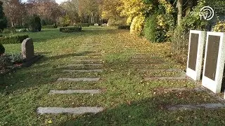 Gedenktage im November