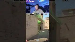 Szpero i jego Digielek! 🔥 