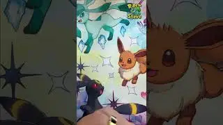 Chasing That Mega Zard! 😍 