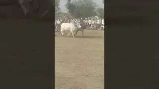 shankar pat #shorts #viralshorts #shortvideo #subscribe #viral #viralvideo #grow  #ytshorts