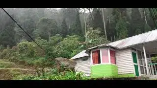 Silerygaon