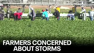 Tropical Storm Kay: Yuma area farmers worried about storm's impact