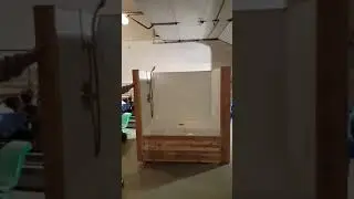 Dog wash