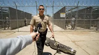 AI Interviews ICE Officers at Alligator Alcatraz &mdash; Then It Gets Dark