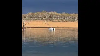 Lake Eucumbene Weekly Report - 26 October 2025