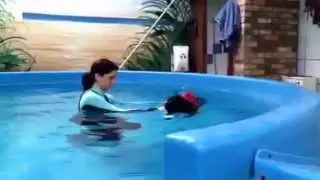 Woodlands Pet Care - Canine Hydrotherapy Pool
