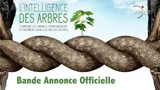 L'Intelligence des Arbres // Bande Annonce Officielle // VF