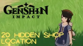 Genshin Impact: 20 Hidden Shop Location (PC)