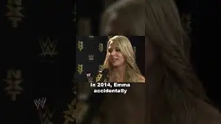 Crazy Reasons WWE Wrestlers Were Fired