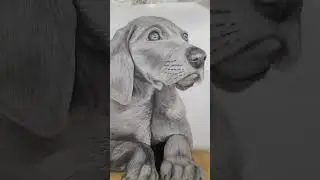 BAD ADS  YouTube butiken #puppy   #printondemand #wallart #badads