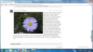 Quora clone script | Yahoo answers clone script