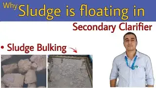 Why sludge is floating in secondary clarifier | Sludge Bulking | @ETPKnowledgeJunction