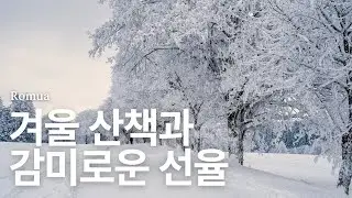 𝙿𝚕𝚊𝚢𝚕𝚒𝚜𝚝 : 눈 내린 오후, 지친 마음을 정리해주는 피아노 | 1월 잔잔한 겨울음악 플레이리스트 | Winter Healing BGM ❄️