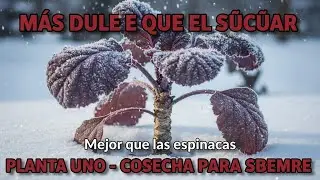 Mejor que la espinaca. El &aacute;rbol 