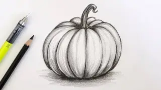 Thanksgiving Pumpkin Drawing Tutorial / Realistic Pencil Shading Step by Step 