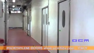 Polyethylene Doors  -  Swing Doors ideal solution for the food industry