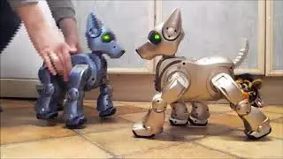 I-Cybies Pal-9000 and Crystal interact with eachother