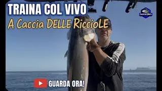 Ricciola Strike in 2 minuti!!! Charter Pesca Palermo